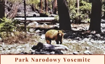 Yosemite - Park Narodowy w Kalifornii odkryty!